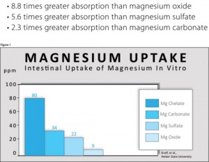 magnesium-uptake-figure