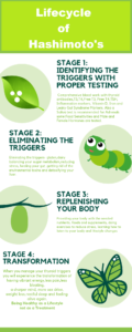 Green, white, and black infographic about the lifecycle of Hashimoto's using a caterpillar turning into a butterfly.